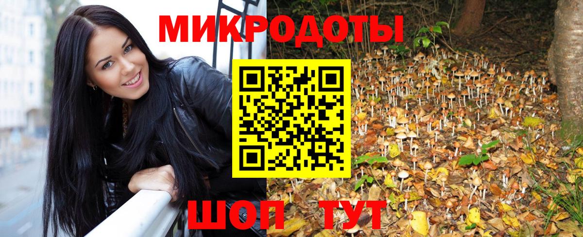 Псилоцибиновые грибы Psilocybe  Псилоцибиновые грибы MAGIC MUSHROOMS  Киселёвск  Вход с VPN 