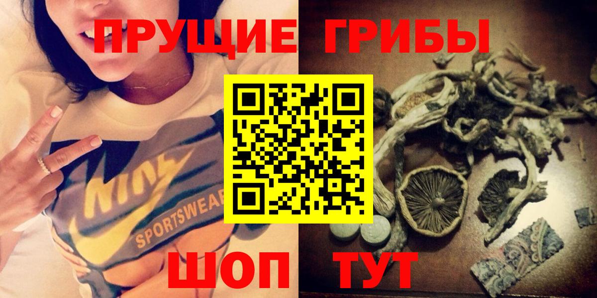 Псилоцибиновые грибы мицелий Киселёвск